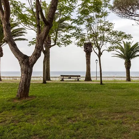 30 Primera Linea De Playa 公寓 柯米拉斯